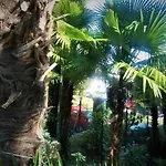 Hana * أوباتيا